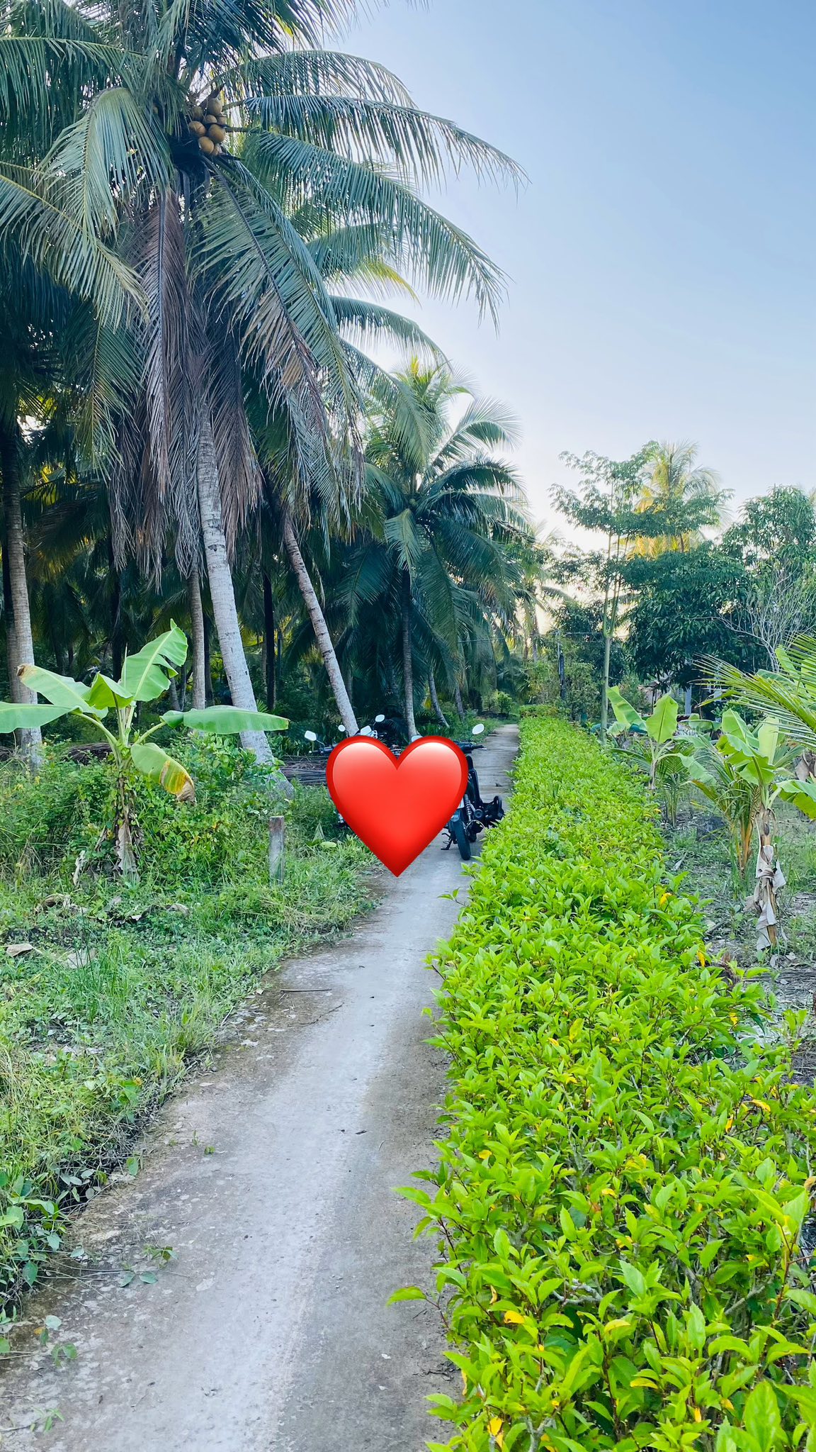 Nền đất An Hội, thành phố Bến Tre, tọa lạc tại Phường An Hội, Xã Phú Nhuận