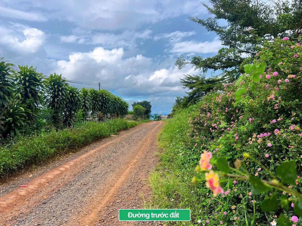Bán đất Tân Hà, Lâm Hà, 1000m², view săn mây, giá hời 799 triệu - an cư hay đầu tư đều tuyệt!