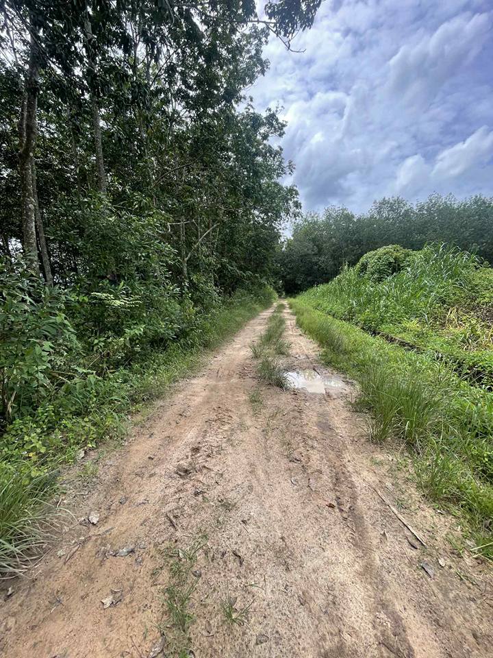 Đất bìa hồng Kon Tum giá sập sàn, phường Trần Hưng Đạo, thành phố Kon Tum