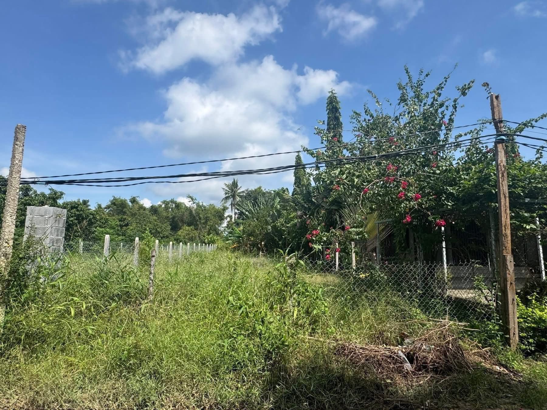 Đất Cam Lâm - 736m2 - mặt tiền 16m - giá yêu thương