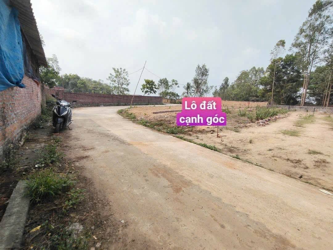 Bán lô đất vàng tại thôn 3, Tam Dương, Vĩnh Phúc, 155,8m2, mặt tiền 6m, ô tô tránh nhau