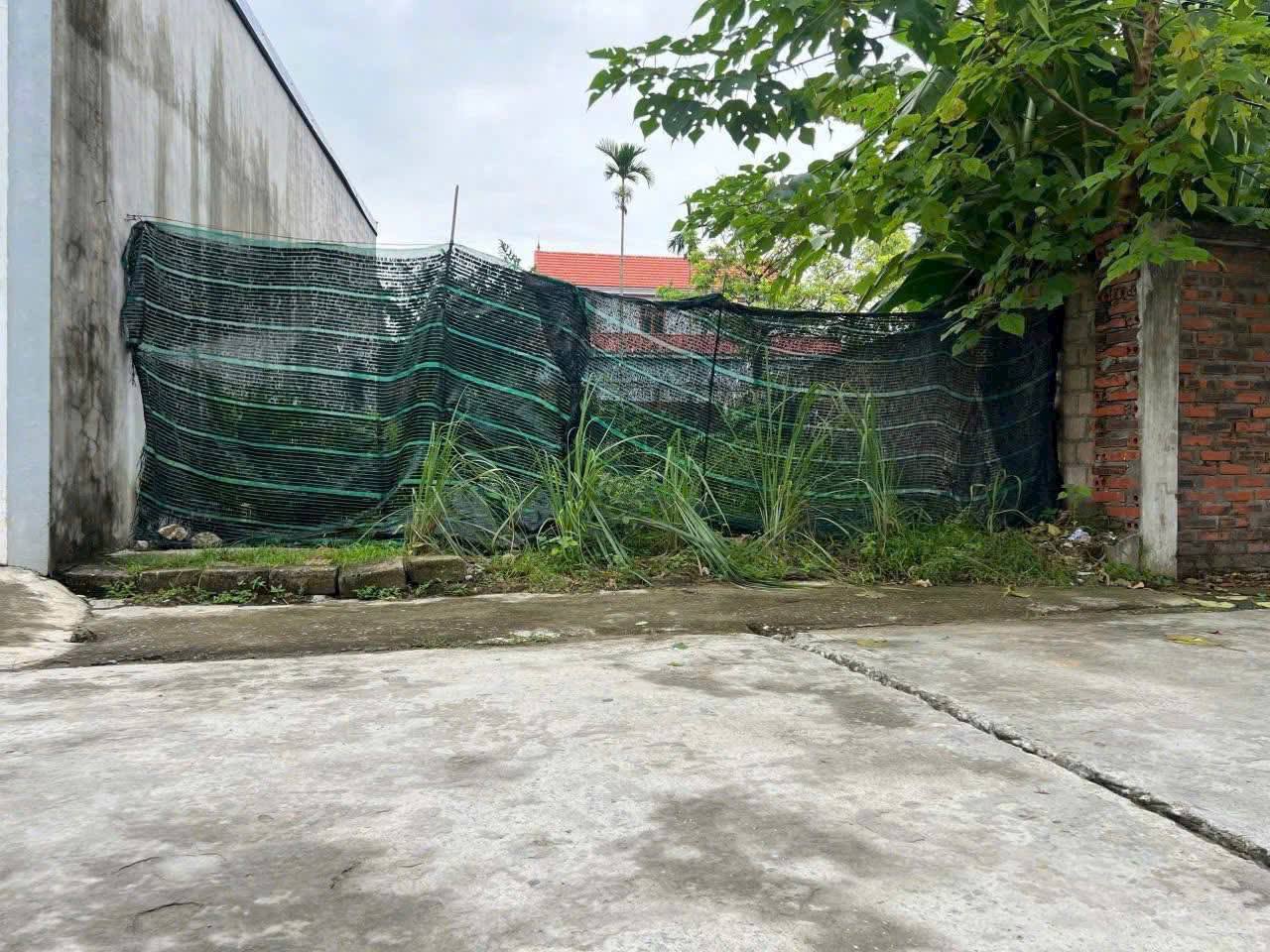 Siêu phẩm đất nền tại thôn Hoàng Động, phường Thiên Hương, thành phố Hải Phòng