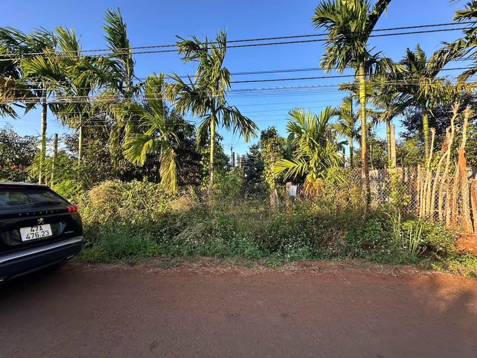 Bán nhà vườn mặt tiền 10KC, Tân An, vừa ở, vừa kinh doanh, vừa thu sầu riêng, giá 2,3 tỷ