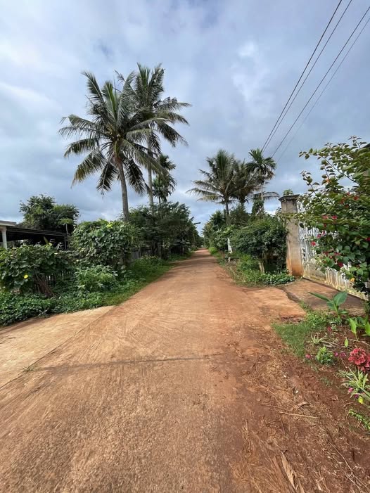 Chào mừng quý khách đến với mảnh đất mơ ước tại đường N7, Buôn Ju, Phường Tân An