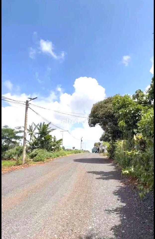 Bán đất nền khu Nam Sơn, giáp ngay Bệnh viện Nhi Tâm Đức, đường 3 ô tô tránh