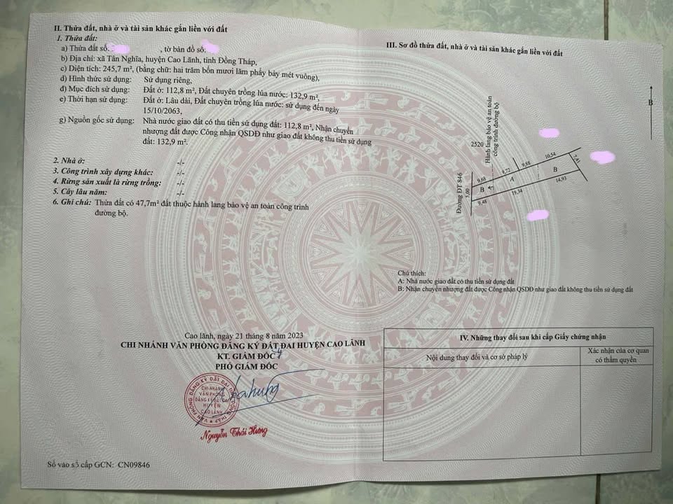 Đất nền xịn xò, mặt tiền tỉnh lộ, container vivu