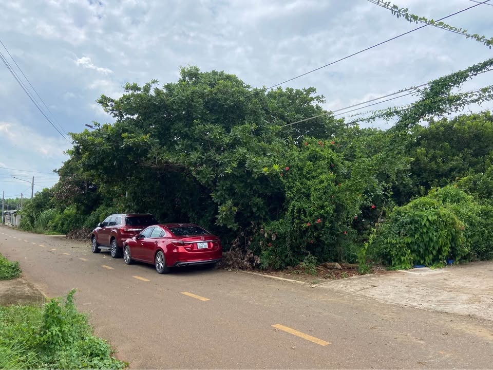 Đất vàng Đất Đỏ 80m2 sổ riêng, giá 9xx triệu, ngân hàng hỗ trợ