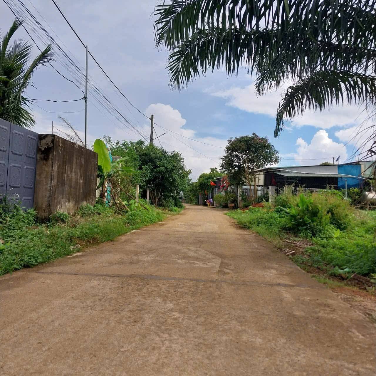 Đất nở hậu 9.8m, 100m2 đất ở, giá nhỉnh 1.4 tỷ, cách Phạm Ngọc Thạch chỉ 250m