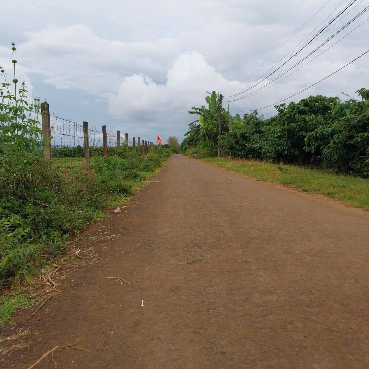 Bán đất hẻm 168 Nguyễn Kim - Gia Lai, giá tốt