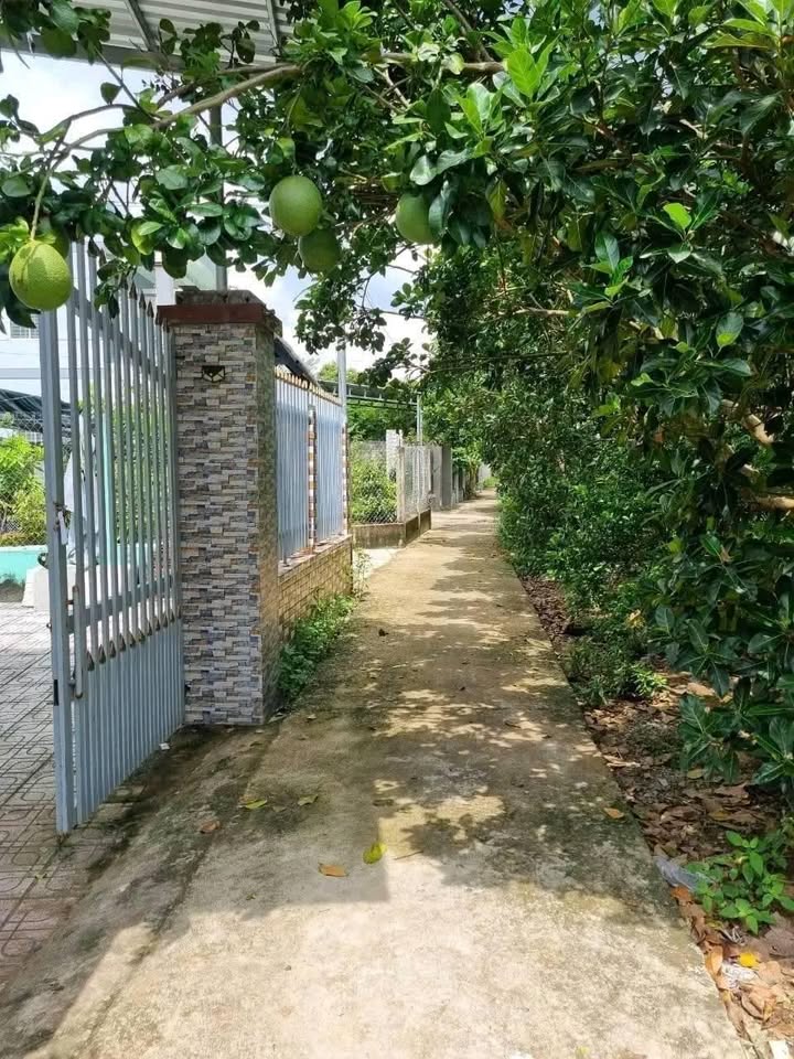 Bán nền đất lẻ, không phân lô tại xã Phú Hưng, thành phố Bến Tre