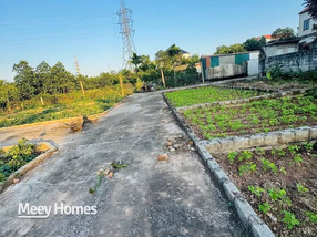 Nhà 40,1m2 mặt tiền 4,5m nở hậu, gần khu công nghiệp Phụng Hiệp, Thường Tín, Hà Nội