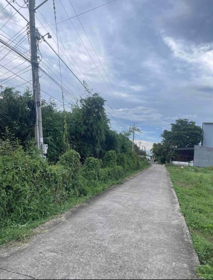 Chủ nhà "chán phố" muốn về quê làm vườn, nên quyết định bán gấp mảnh đất rộng rãi 500m2 tại xã Tuyên Quang