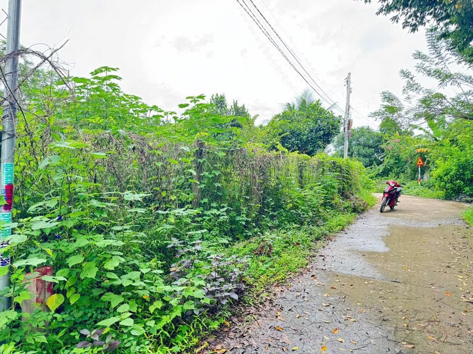 Bán đất Diên Xuân, Diên Khánh, Khánh Hòa - 122m2, 170m2, đường ô tô