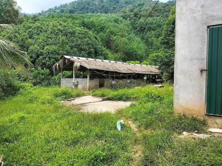 Bán đất trang trại rộng 6000m2 tại Định Hóa, Thái Nguyên