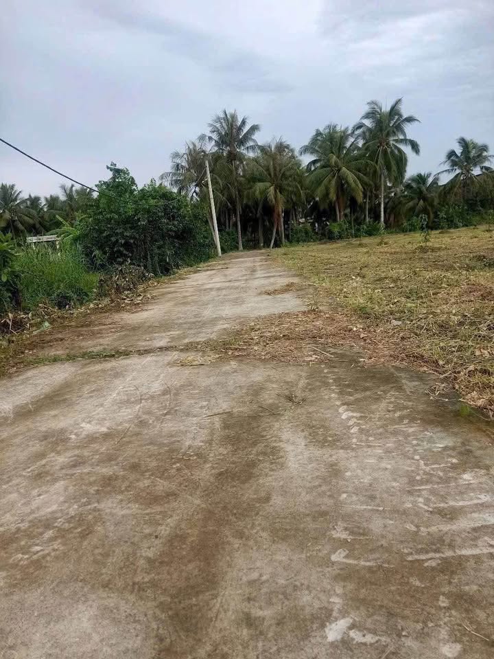 Cơ hội sở hữu ngay mảnh đất nền rộng rãi tại xã Phú An Hòa, Bến Tre