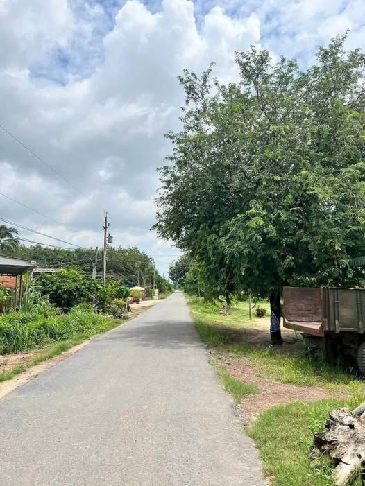 Đất xinh như mơ, giá hời như mơ chỉ 360 triệu/lô