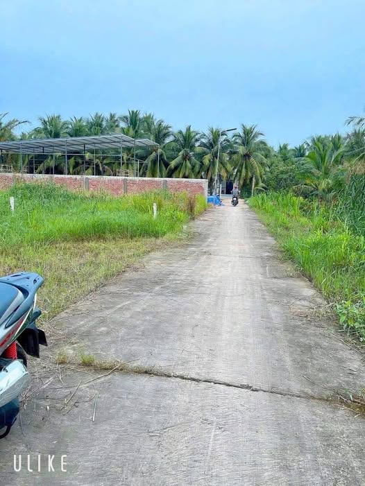 Tọa lạc tại An Thạnh, Mỏ Cày Nam, Bến Tre, mảnh đất 508m² đang chờ đón chủ nhân mới