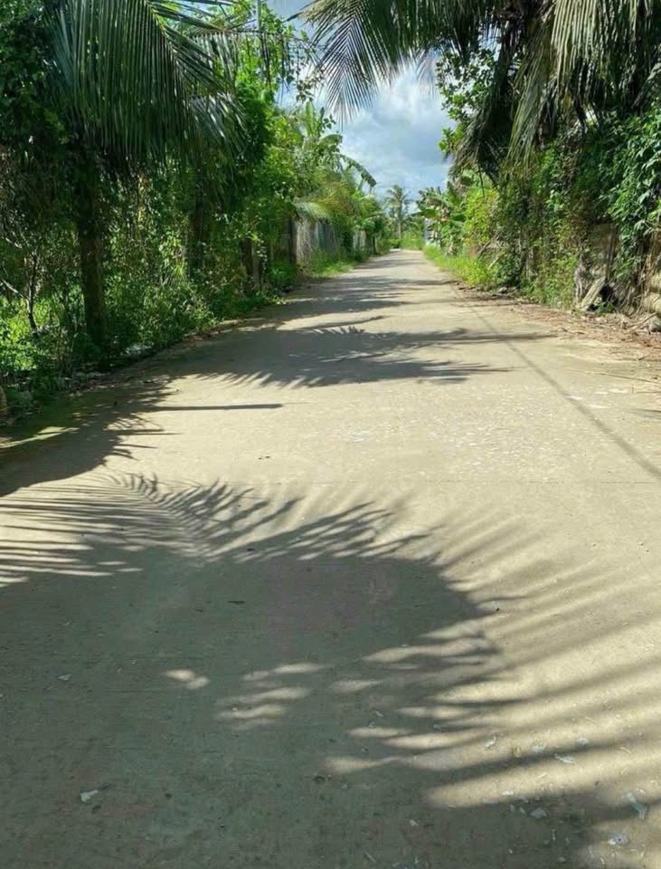 Đất nền Sơn Đông, Bến Tre 113.6m2 thổ cư, đường xe hơi, giá giảm sốc