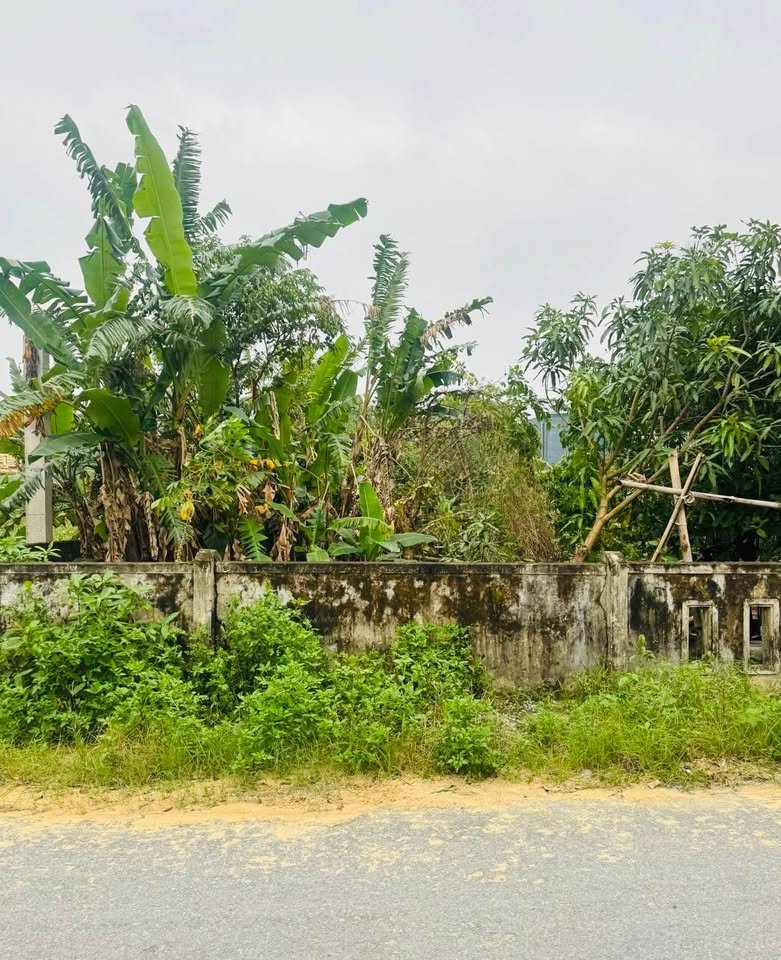 Đất vàng trung tâm Nam Lý - Mặt tiền Bế Văn Đàn, hướng Tây Nam