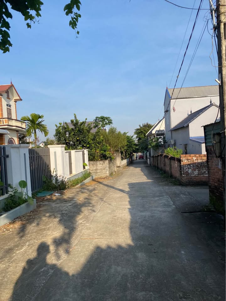 Bán gấp đất Yên Thái, Phúc Thọ 222m2, mặt tiền 12m, ô tô đỗ cửa