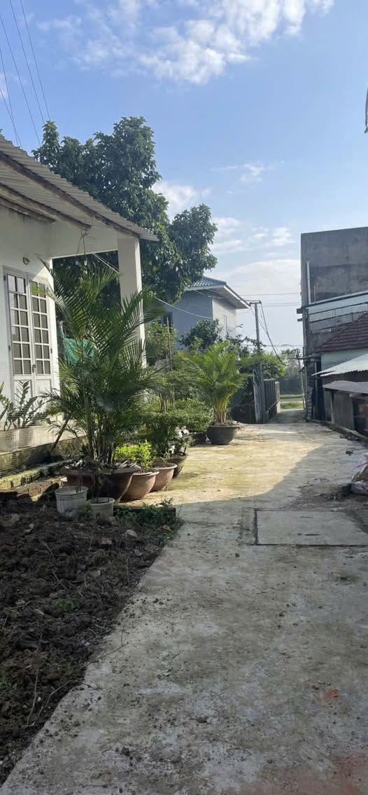 Cơ hội sở hữu ngay lô đất kiệt đường Cầu Đỏ, Cẩm Lệ, Đà Nẵng với diện tích 115m2