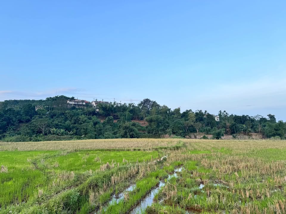 Bán đất Yên Xuân, Hòa Lạc, 1ha, bám suối, view đồng, mặt tiền 60m - Cơ hội đầu tư sinh lời khủng