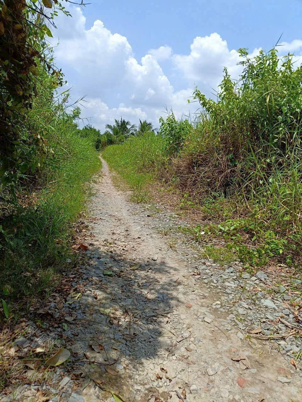 Đất vàng Bến Tre 265m2 nở hậu, giá sốc chỉ 440 triệu