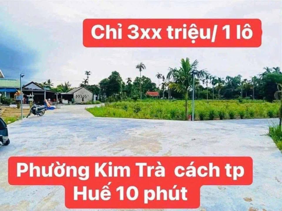 Chào mừng quý vị đến với mảnh đất an lành tại Hương Xuân - Kim Trà, nơi giao thoa của sự thịnh vượng và bình yên