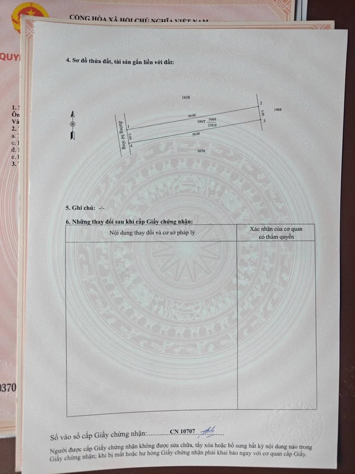 Đất vàng gò dầu, 5mx50m full thổ cư, sổ đỏ sẵn sàng, giá hời