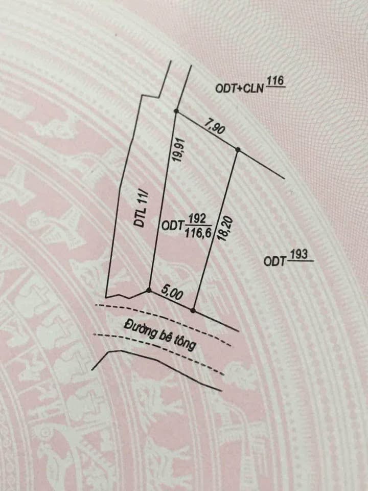 Siêu phẩm đất nền Bắc Lý, Trần Trùng Quang, sẵn sàng đón chủ mới