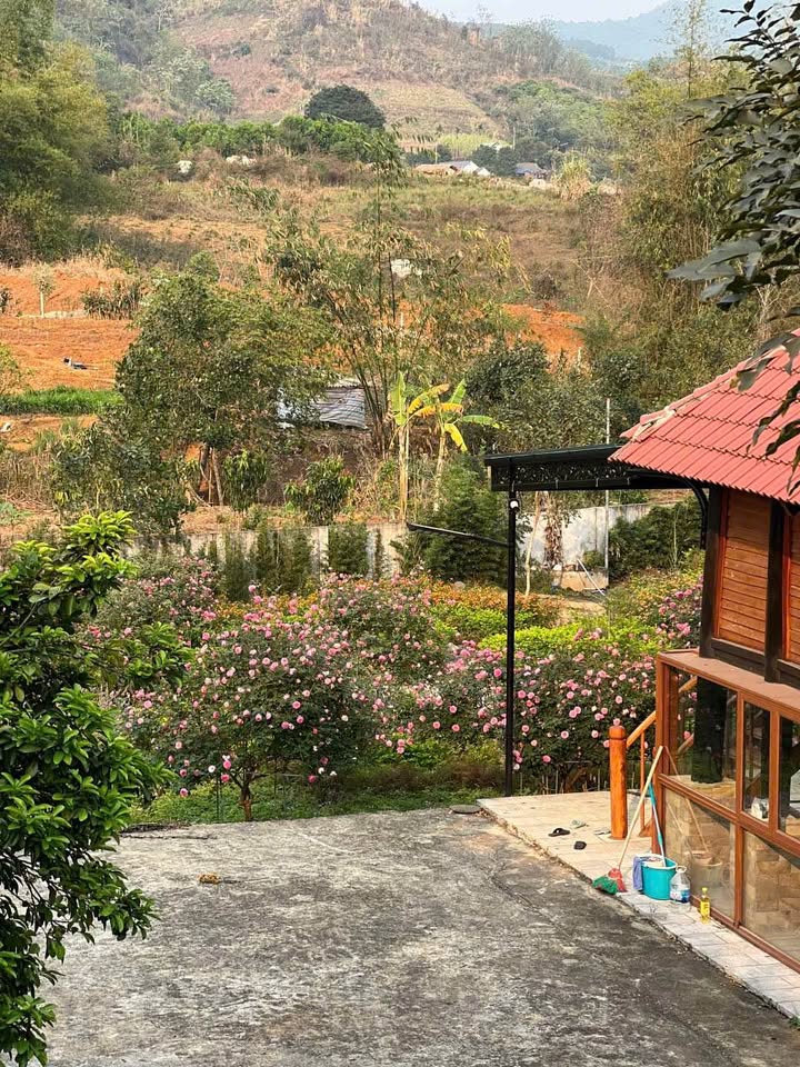 Đất nghỉ dưỡng view đồi núi Hòa Bình 1867m2, sổ đỏ sẵn sàng, giá thương lượng