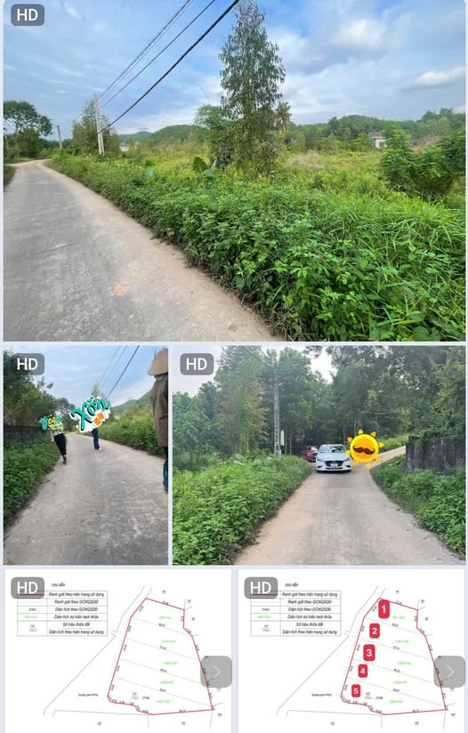 Đất vàng Thái Nguyên 7340m² thoải mái xây biệt thự, vườn tùng, hay kho xưởng tẹt ga