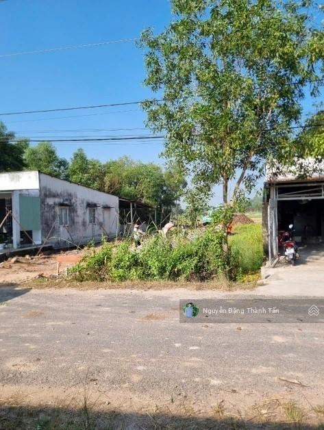 Về quê với gia đình, ông Hải gửi bán giúp lô đất vuông vức 208m2 giá mềm hơn thị trường, sổ riêng