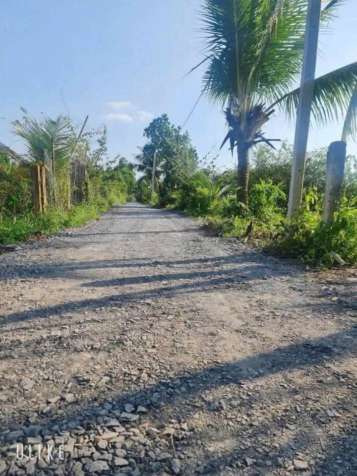 Bán đất vườn nghỉ dưỡng 500m2 tại Bến Lức, Long An, giá chỉ 450 triệu