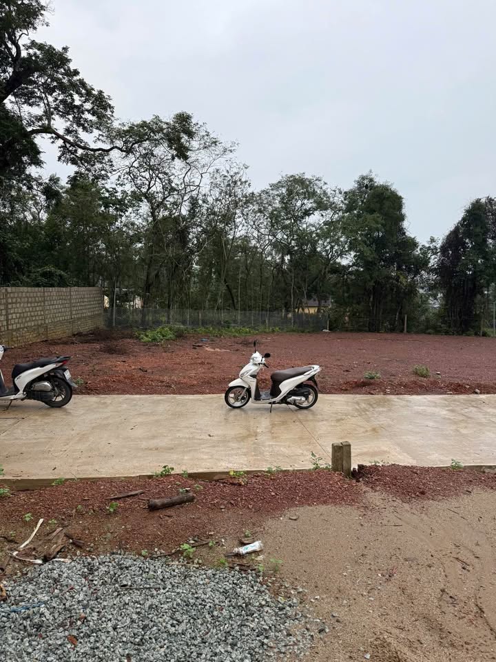 Bán đất kiệt 25 Vũ Ngọc Phan 110m2, hướng Đông Nam, Tây Bắc