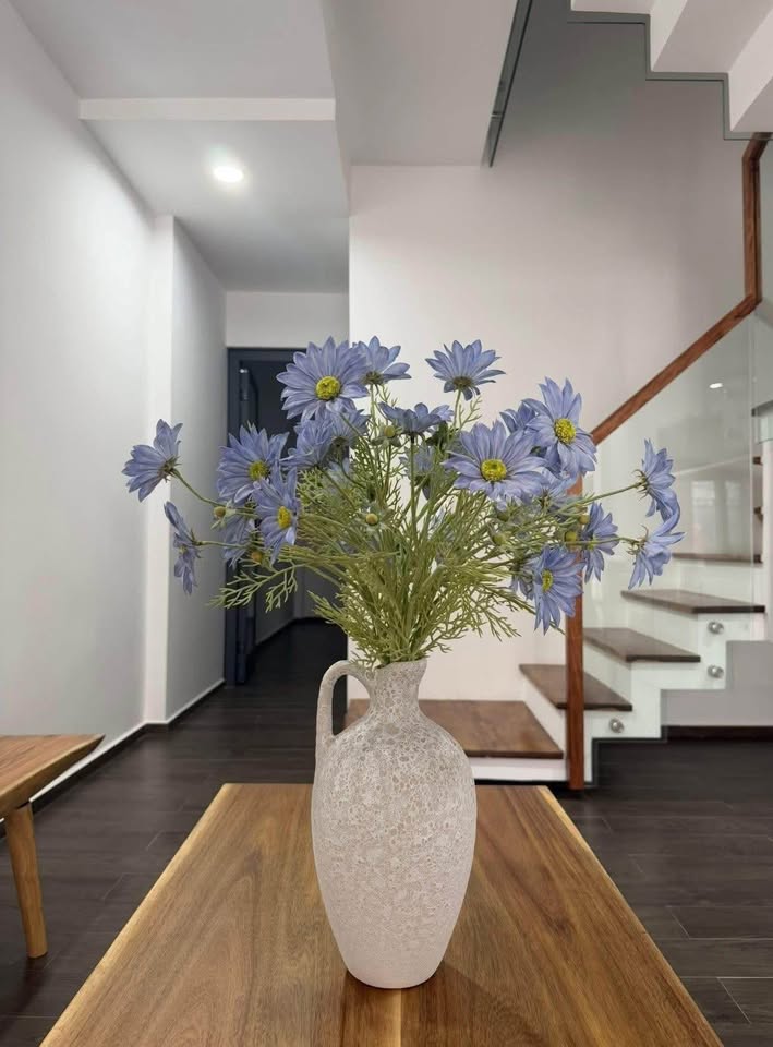 Bán nhà 2 tầng kiệt ô tô, 3 phòng ngủ tại Đặng Huy Trứ - Giá chỉ 3.1 tỷ