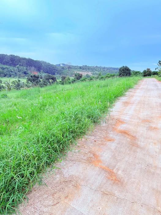 Đất thổ cư đắc địa, giá hấp dẫn, cơ hội đầu tư vàng