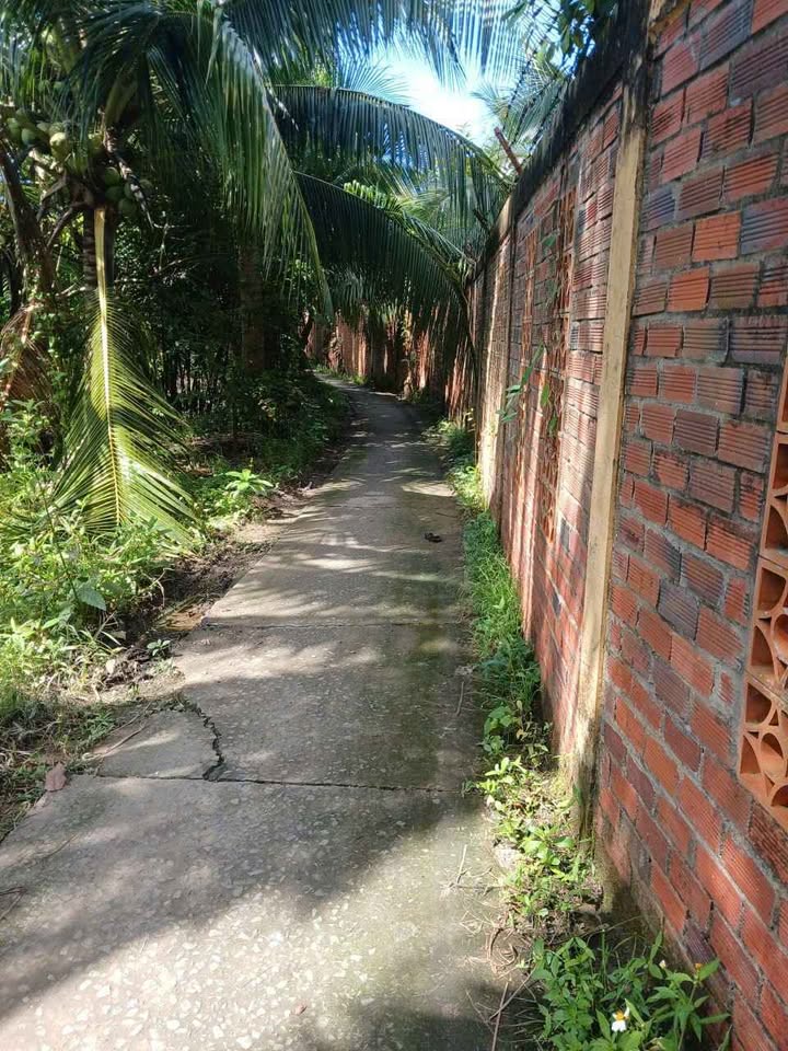 Nhà thổ cư 6mx20m, gần cầu Chẹt Sậy, Mỹ Thạnh, Giồng Trôm, Bến Tre