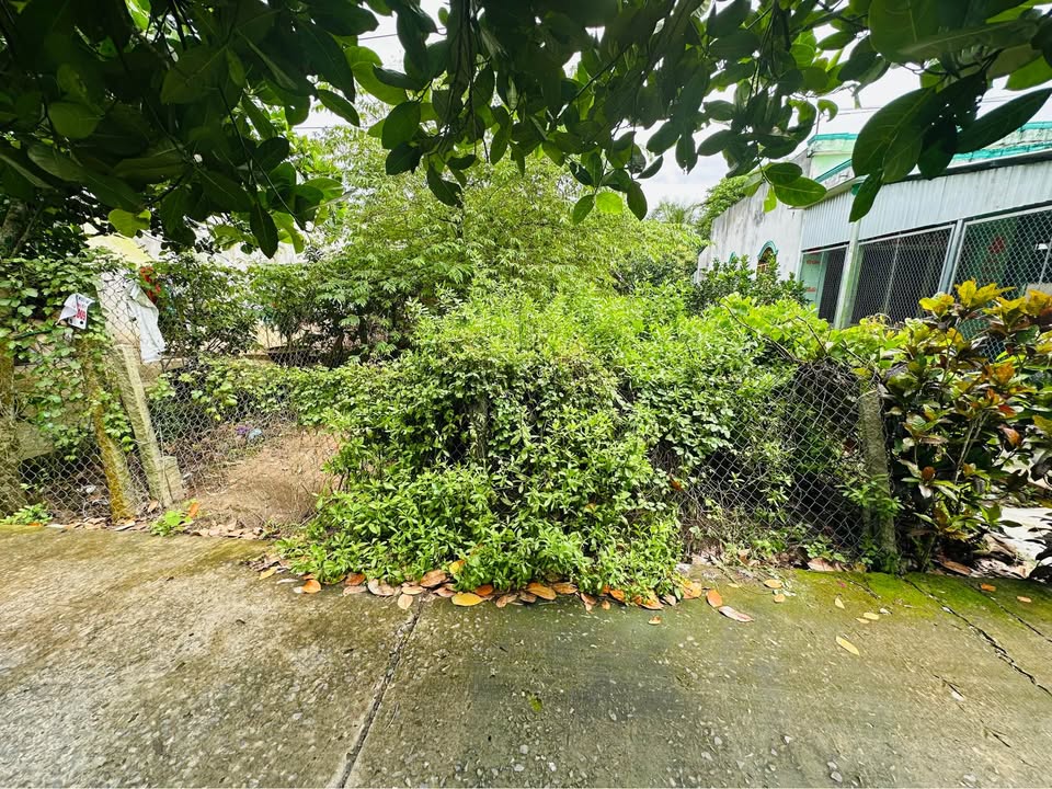 Đất nền mặt tiền đường 3m, ô tô tới tận cửa, vị trí đẹp tại Mỹ Hiệp, Sa Đéc