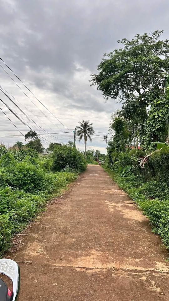 Bán đất vườn 740m2 phường Ea Kao, Đắk Lắk view đẹp, thoáng mát