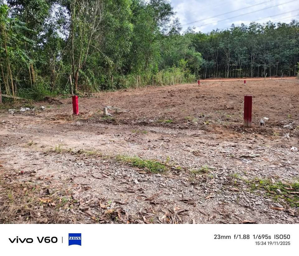 Mảnh đất An Điền xưa, gần Vành Đai 4, đón đầu tương lai