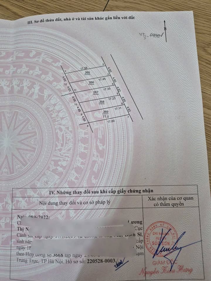 Đất vàng Nội Bài, Sóc Sơn, vị trí đắc địa, đầu tư sinh lời