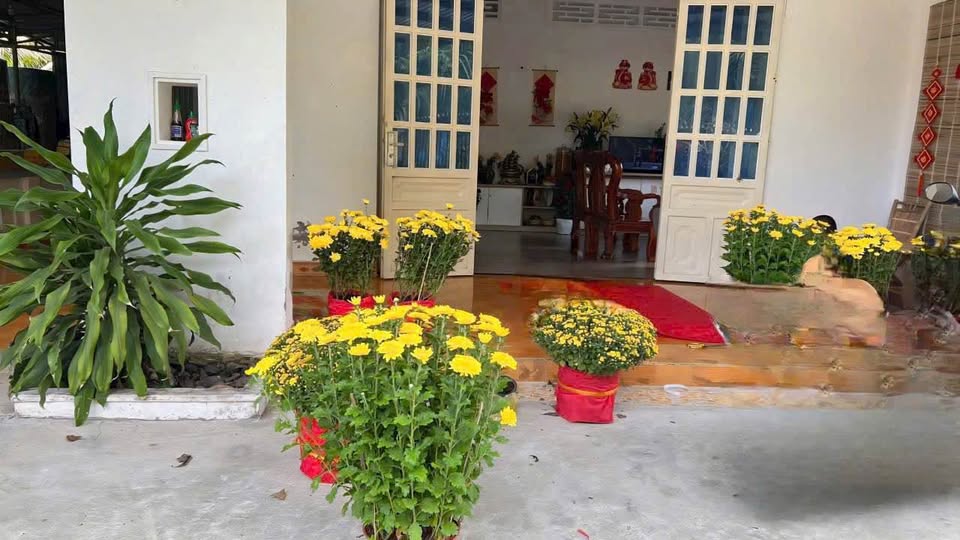 Đất mặt tiền đường nhựa Nhơn Thạnh, 436m2, giá chỉ 1,9 tỷ