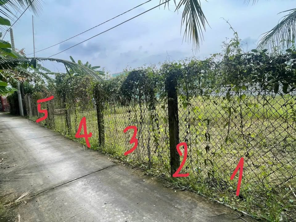 Bán đất nền thổ cư Long Hòa A, Đạo Thạnh, Mỹ Tho, gần trung tâm hành chính, Aeon