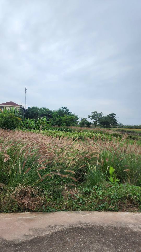 Bán lô đất diện tích hơn 1000m2 tại thôn Hợp Châu, Nam Thịnh, Tiền Hải, giá hấp dẫn