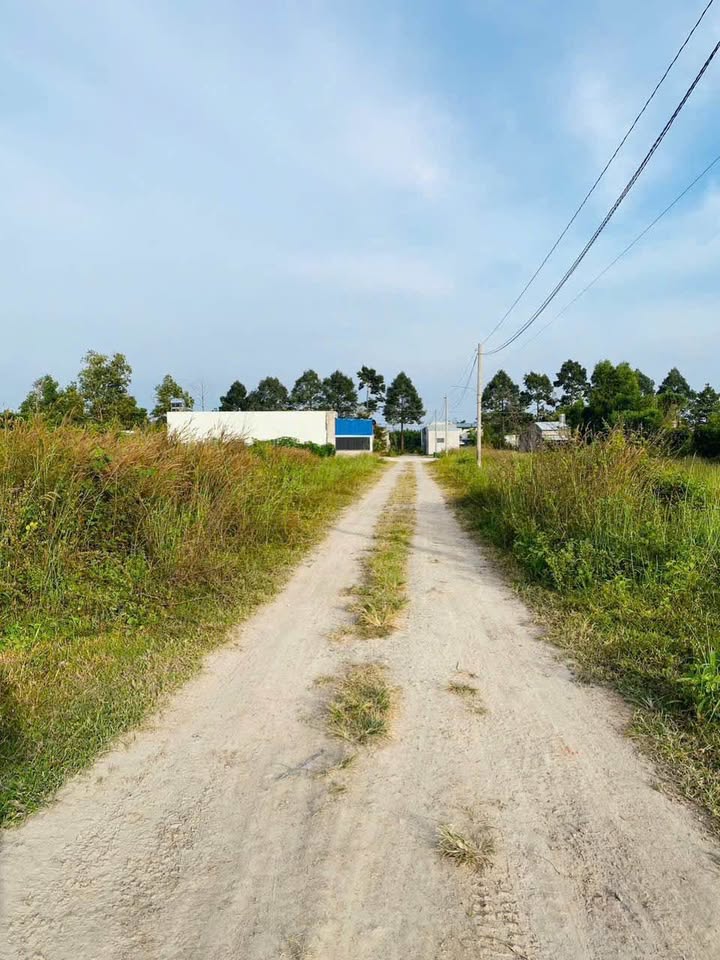 Đất vàng 340 triệu/lô sổ đồng sở hữu, gần sân bay Tý Banh Allwell