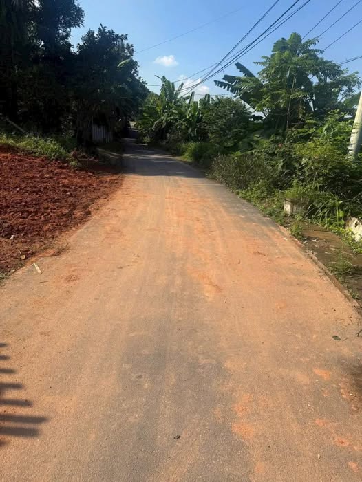 Bán đất trục chính Vân Trục, Sông Lô, Vĩnh Phúc 110m2