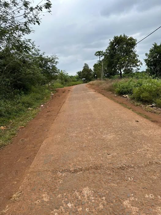 Đất phù hợp để trồng khoai lang, cà phê, sầu riêng, hồ tiêu hoặc phát triển các mô hình trang trại tổng hợp