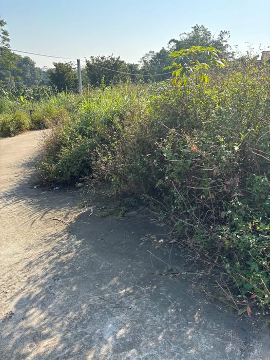 An Thịnh đất vàng, đón bình minh, giá ưu đãi