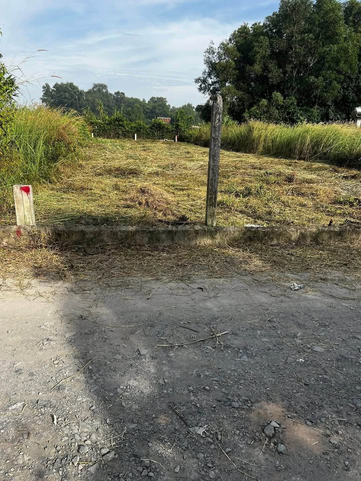 Lạc bước về vùng đất Phước Đông, nơi có mảnh đất vuông vắn chờ chủ nhân tài đức